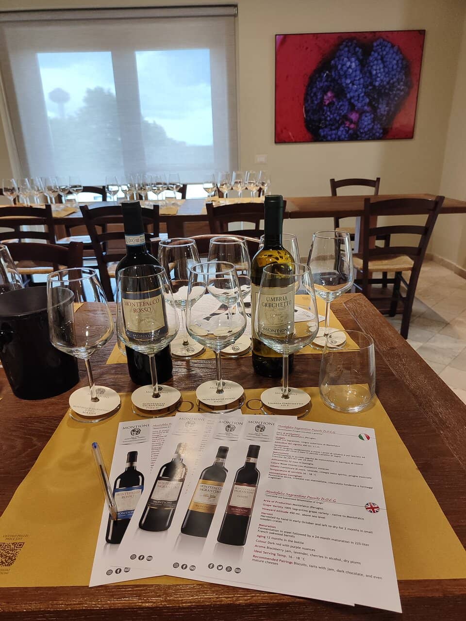 Sagrantino Wine Tasting