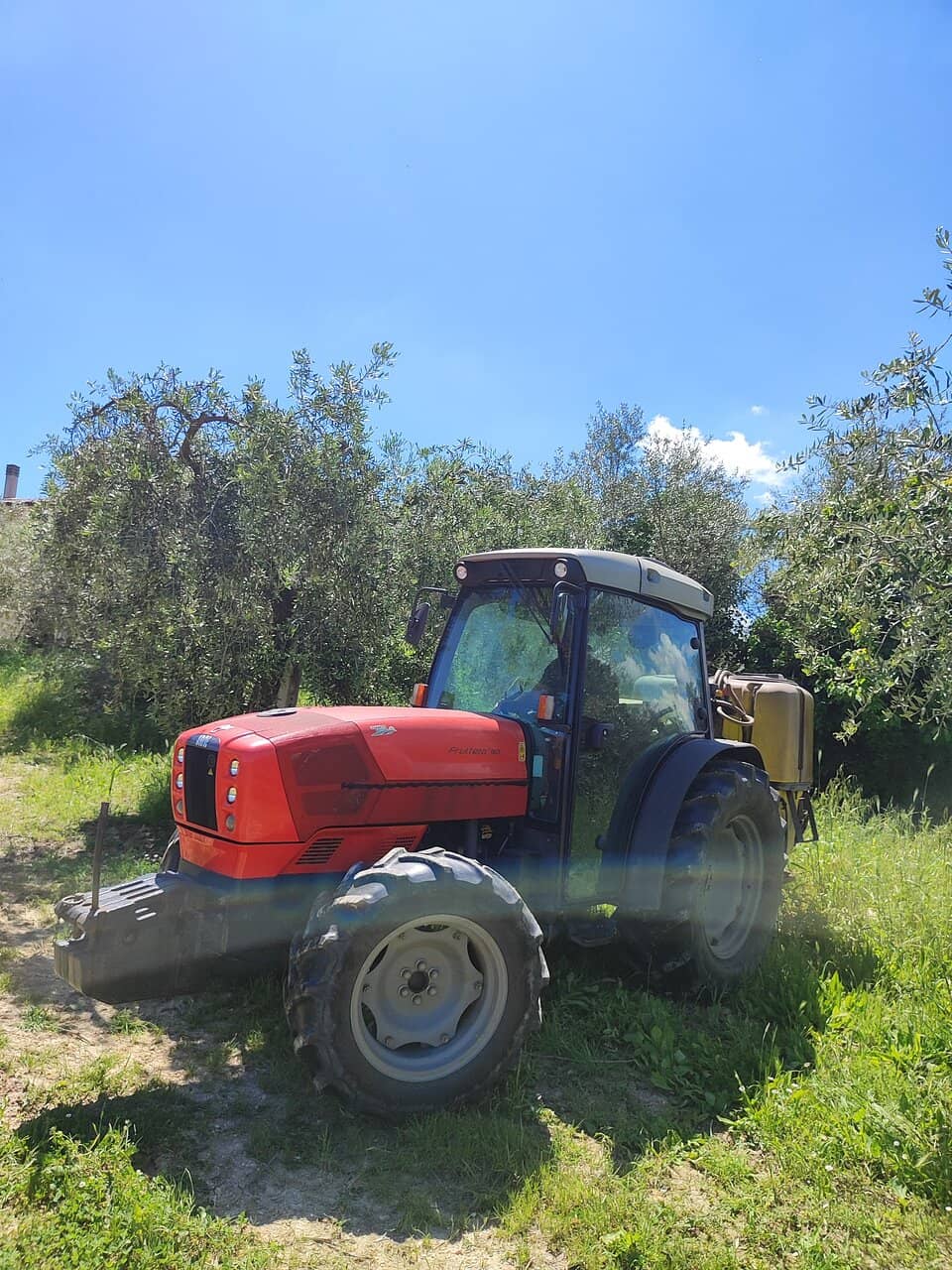 Medieval Architecture