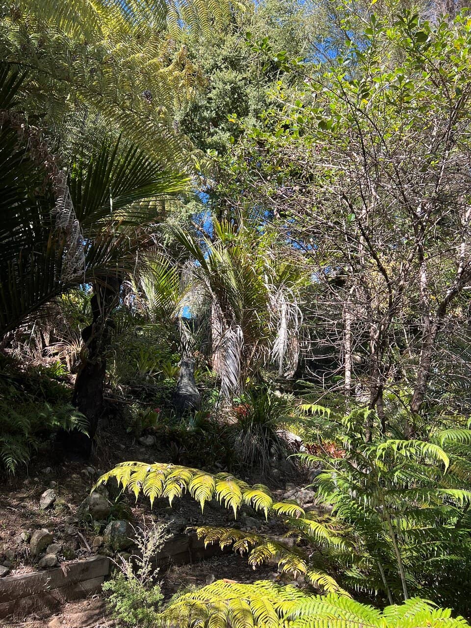 Lush Gardens & Water Features