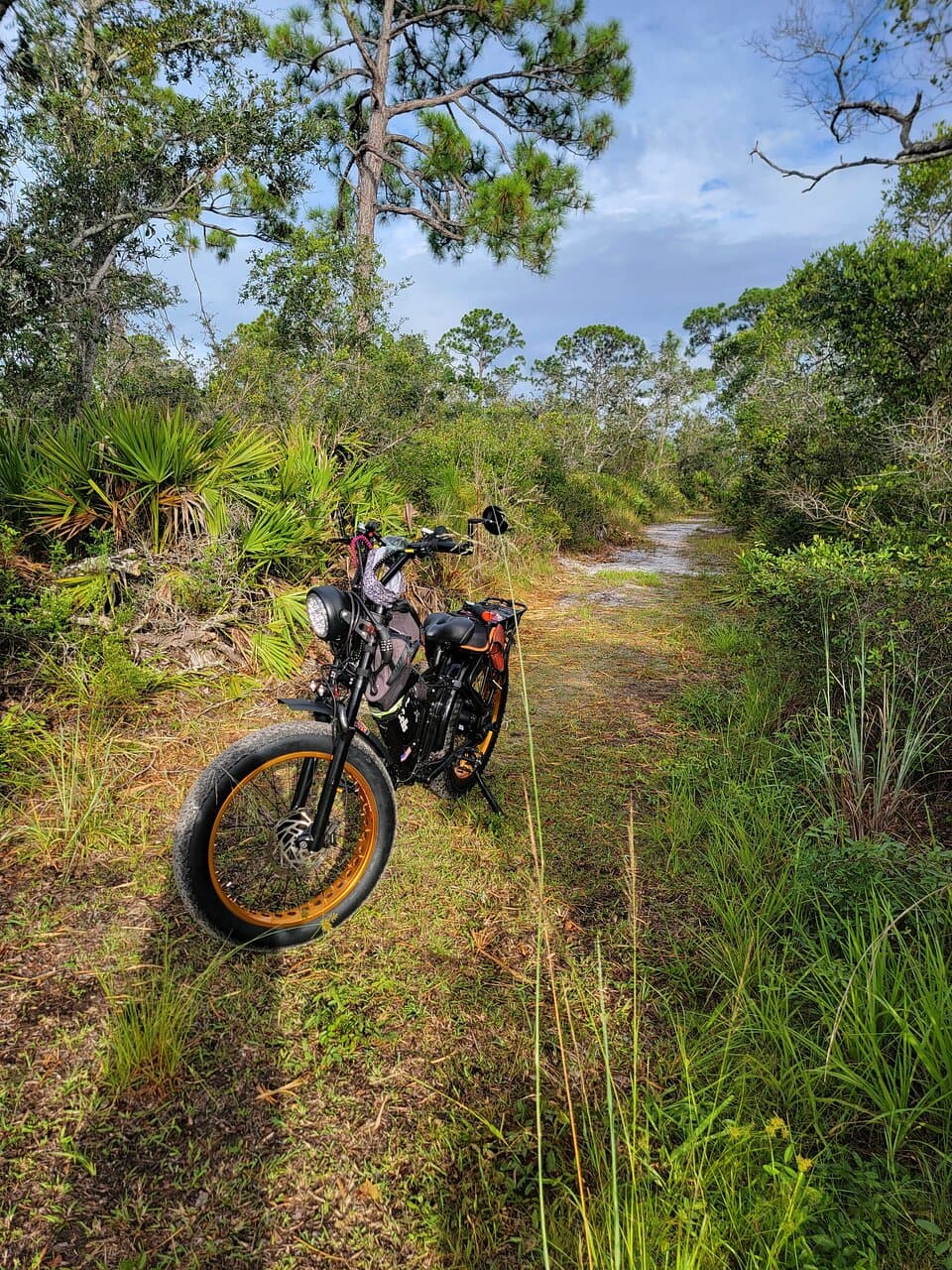 Tippecanoe Environmental Park