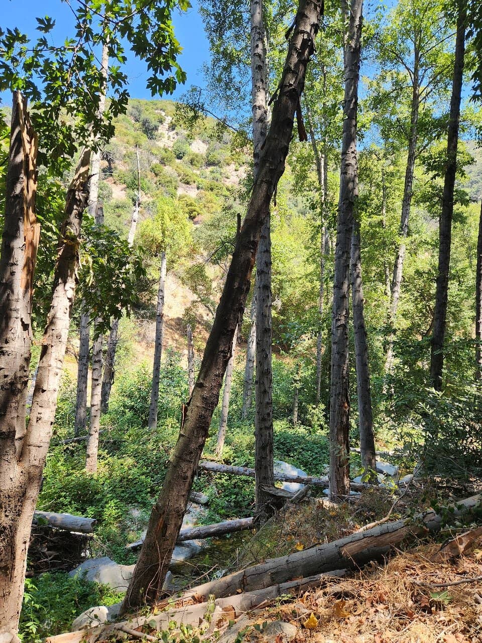 Vertical photo
