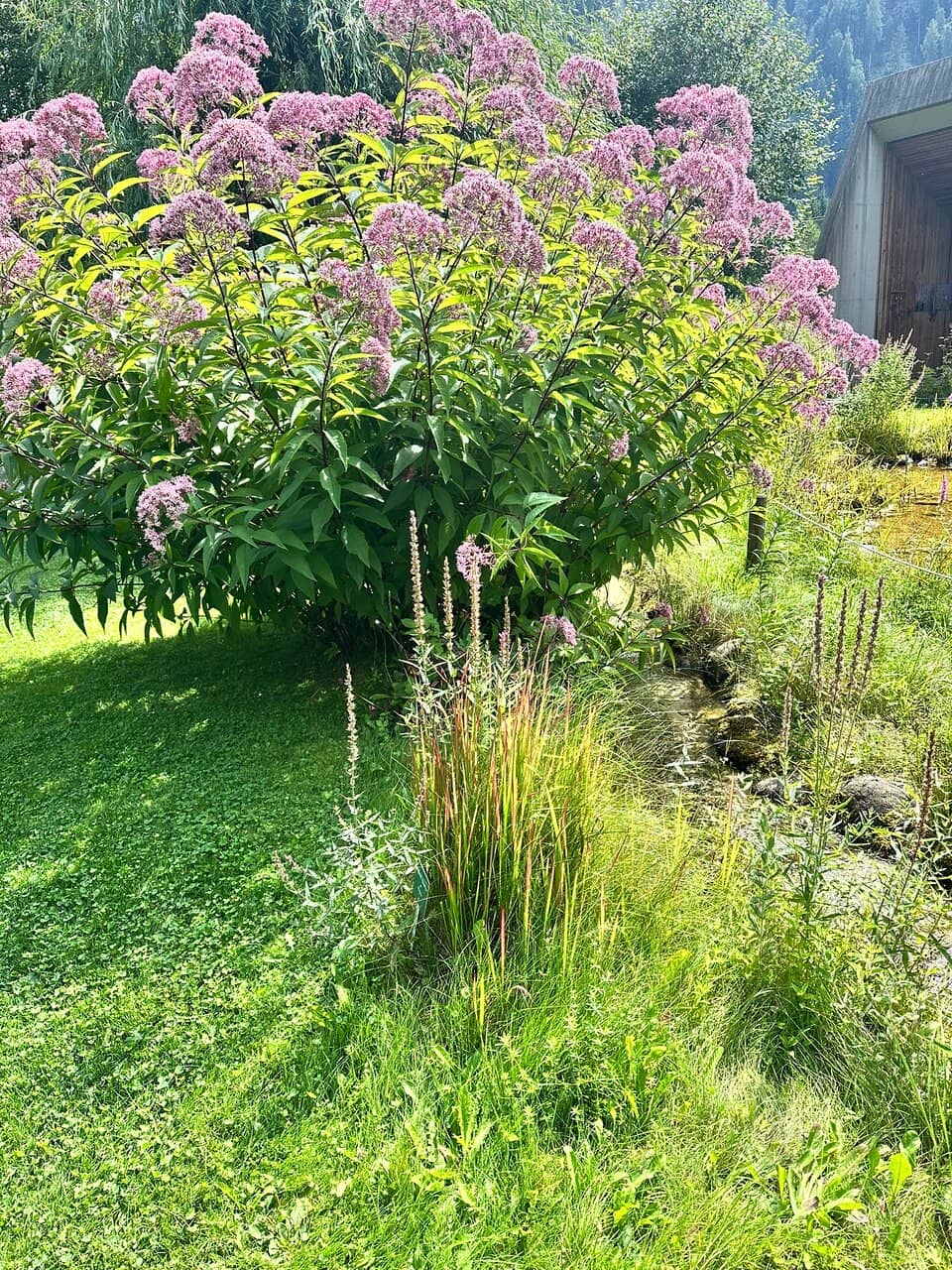 Essential Oil Distillery