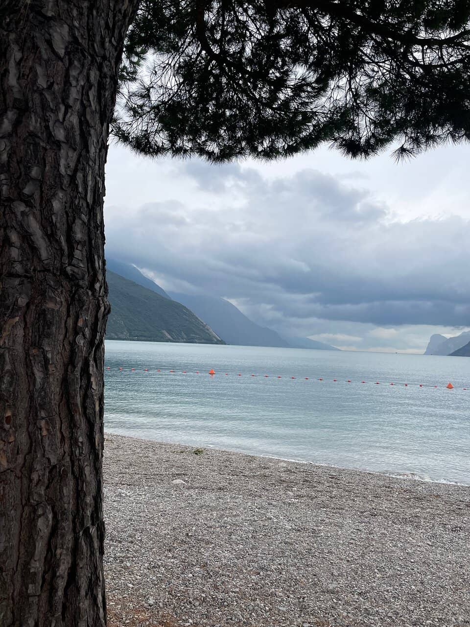 Pebble Beach Serenity