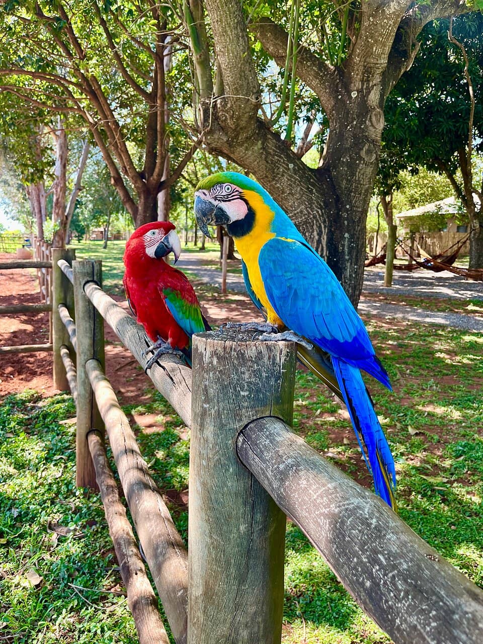 Abundant Wildlife Viewing