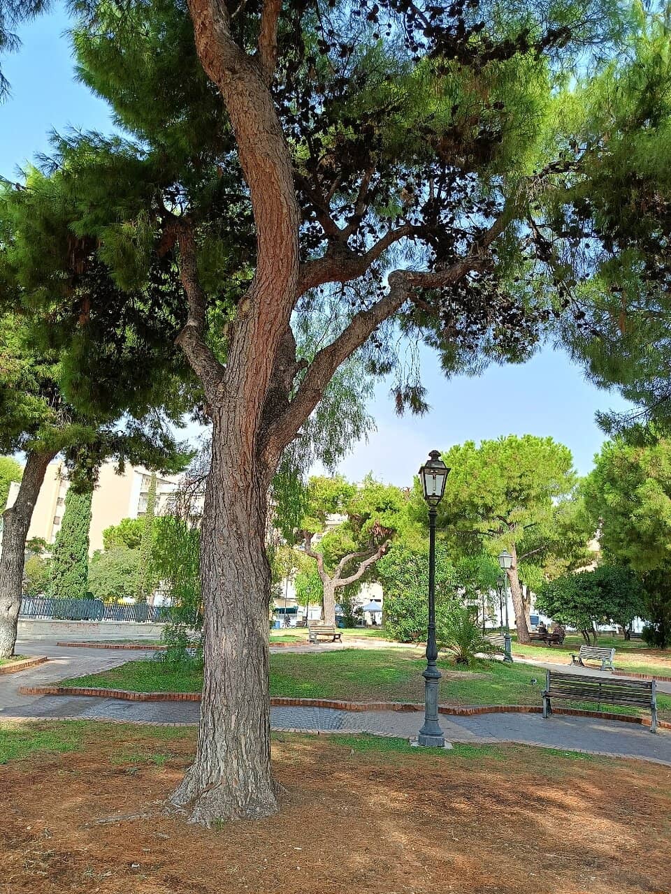 Bay of Manfredonia Views