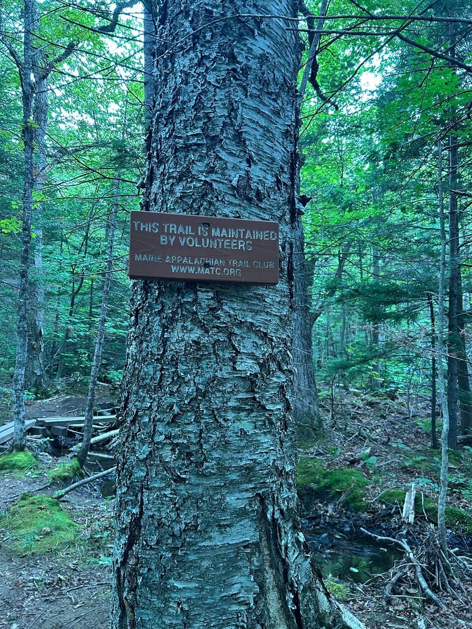 Old Speck Mountain