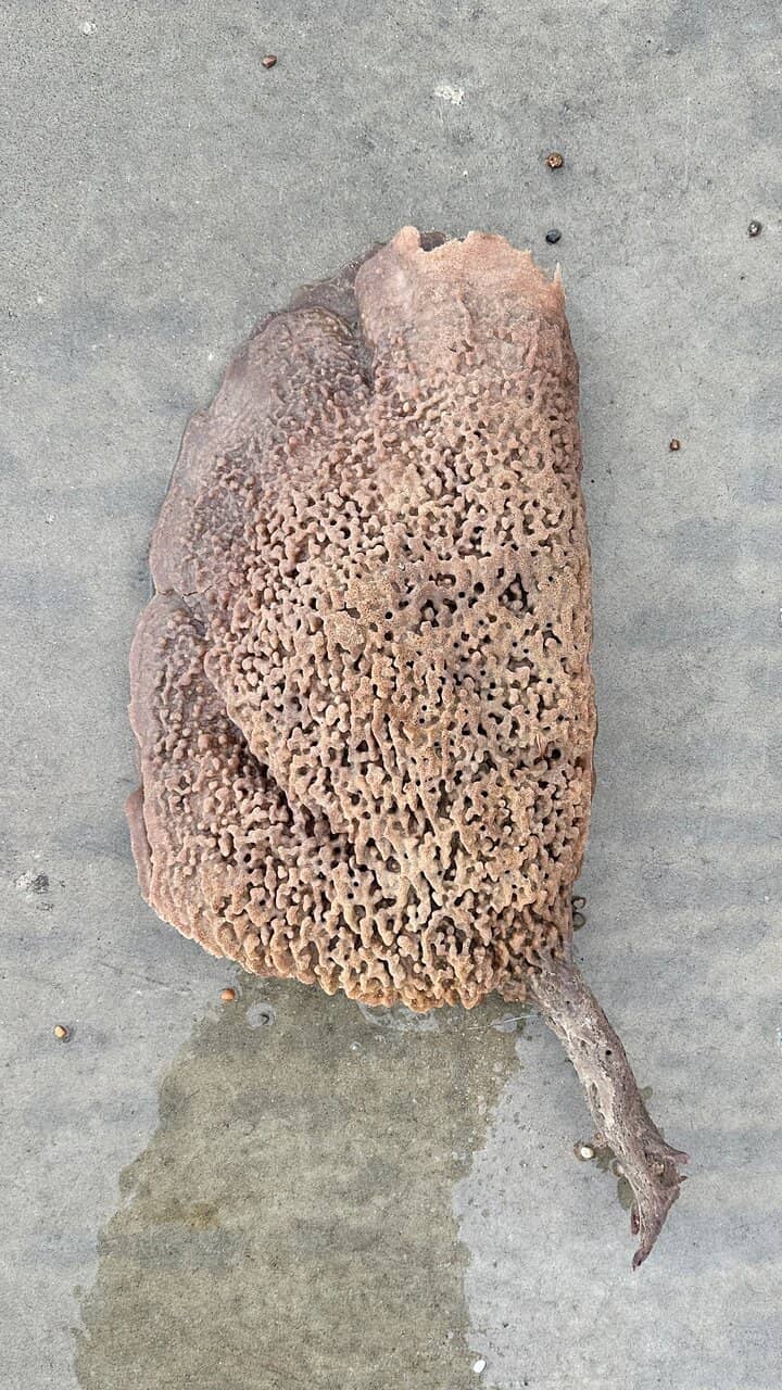 Dramatic Coastal Views