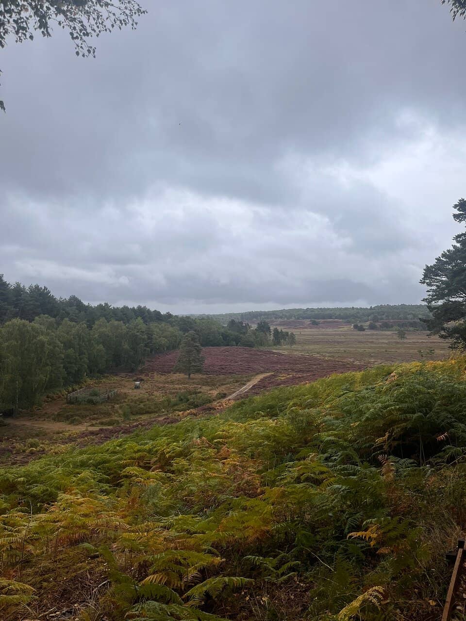 Panoramic Wash Views