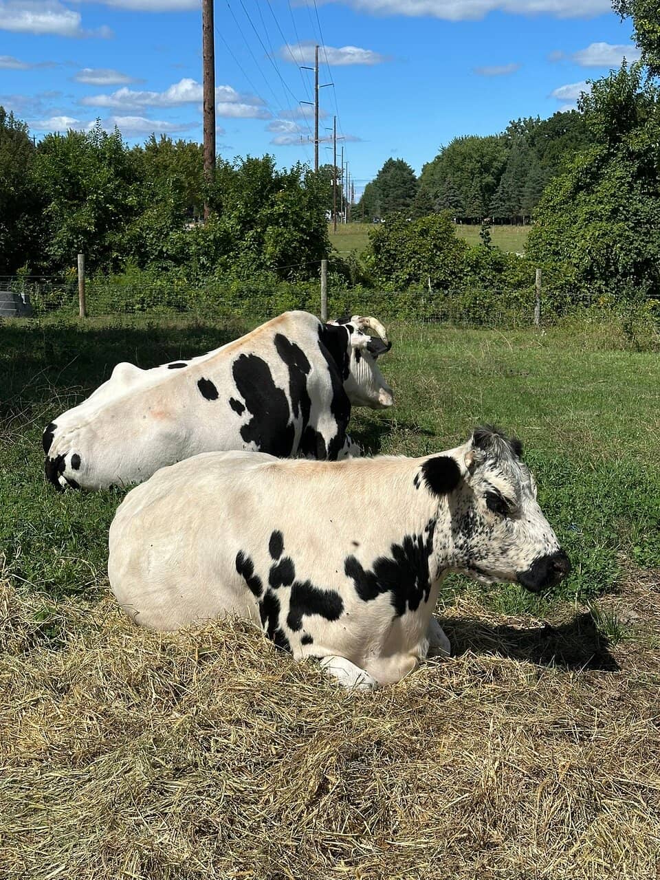 Holiday Photo Opportunities