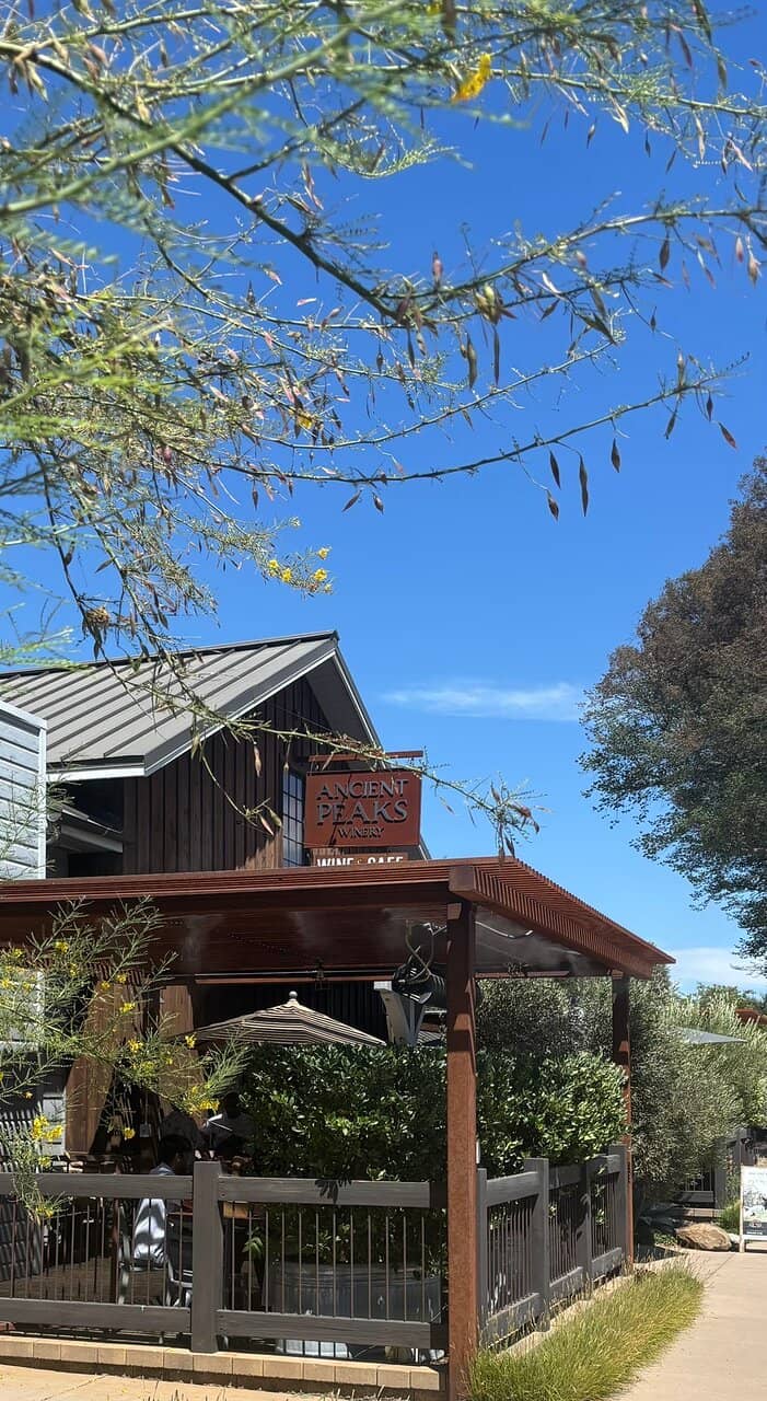 Vineyard Views & History