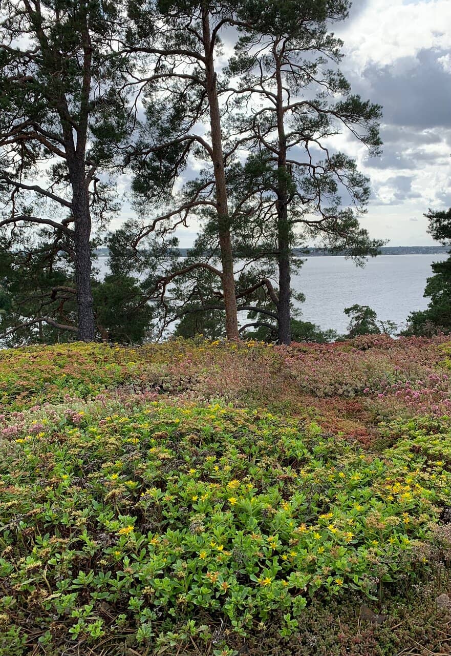 Contemporary Art Exhibitions