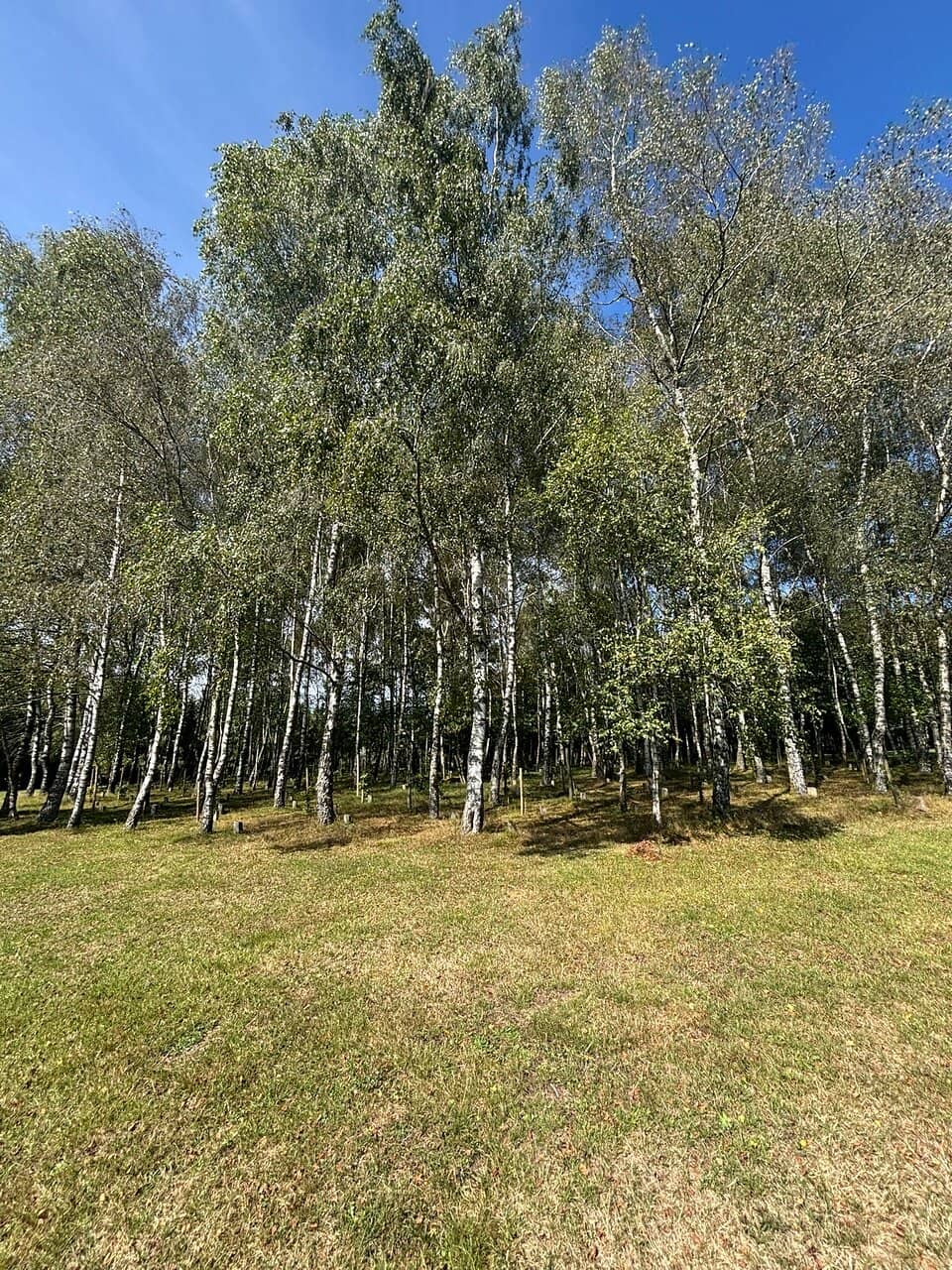 Informational Boards