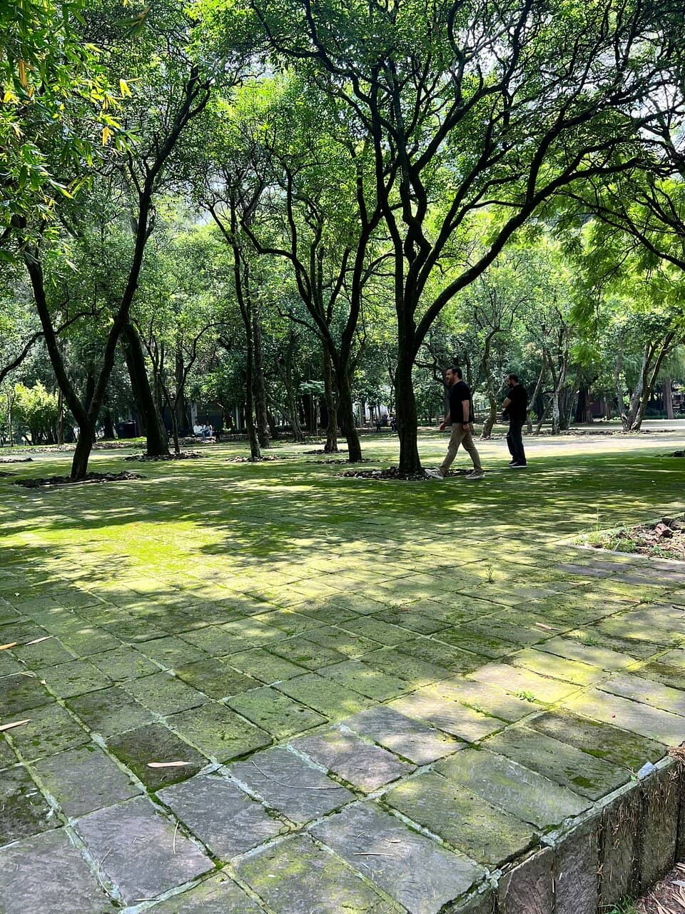 Lush Botanical Gardens