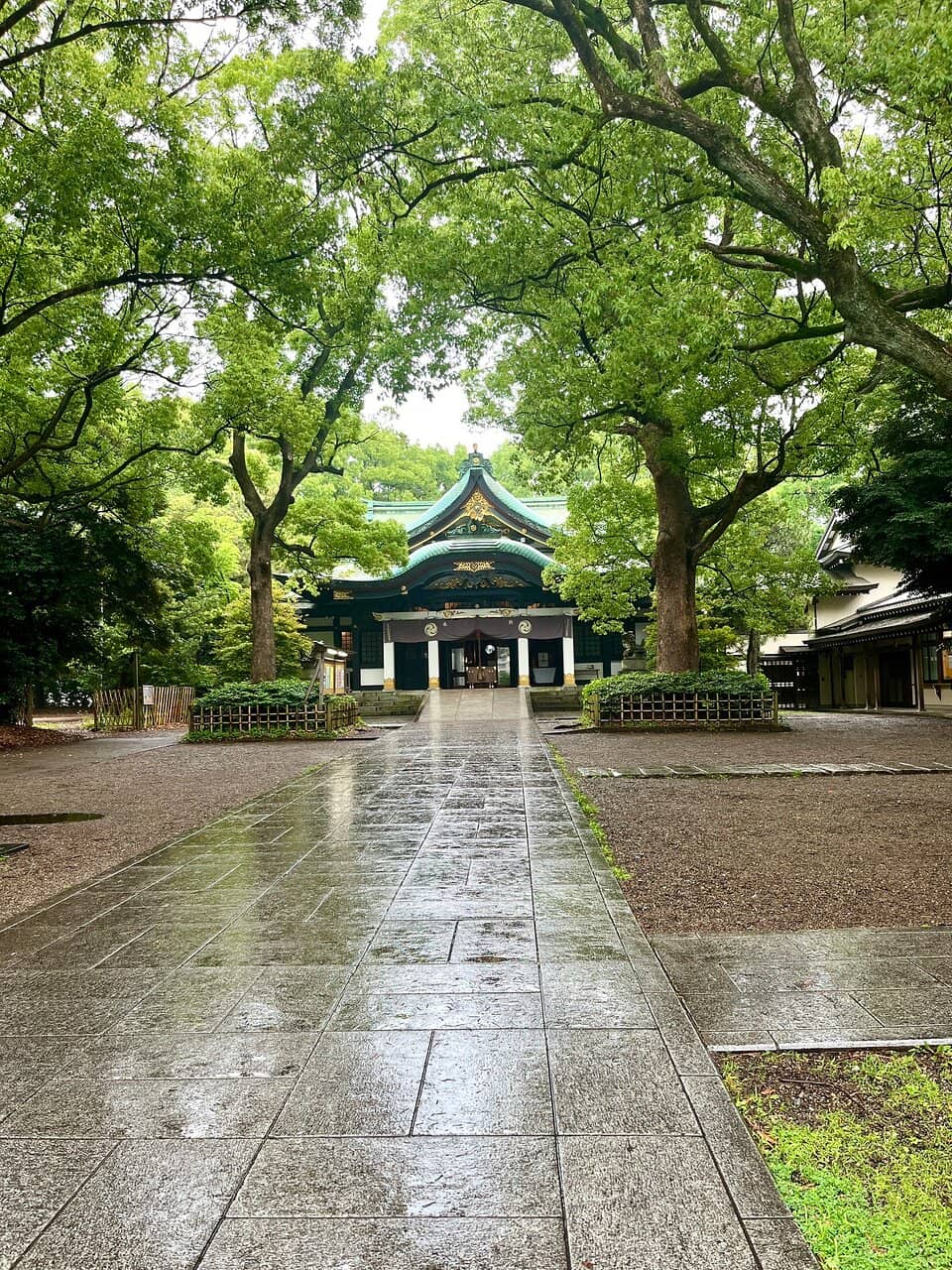 August Festival Vibrancy