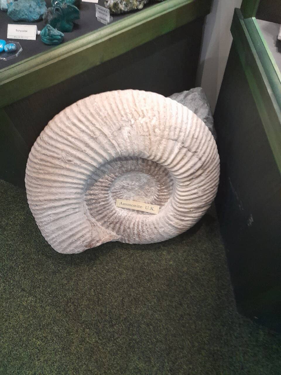 Vast Gem and Mineral Collection