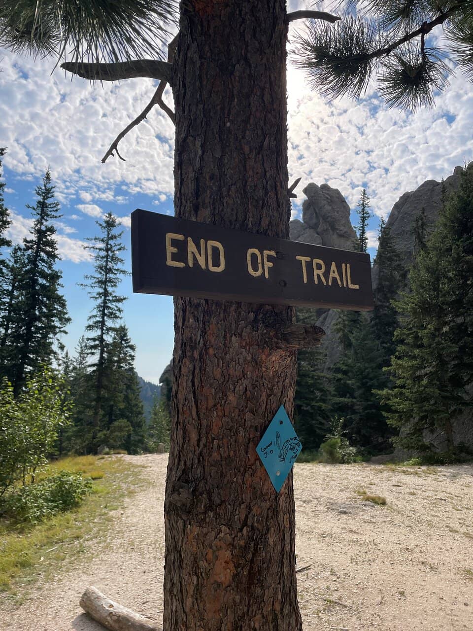 Threading the Needle