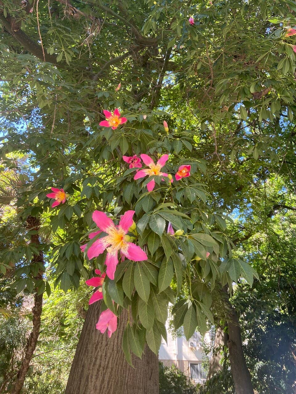 Vertical photo