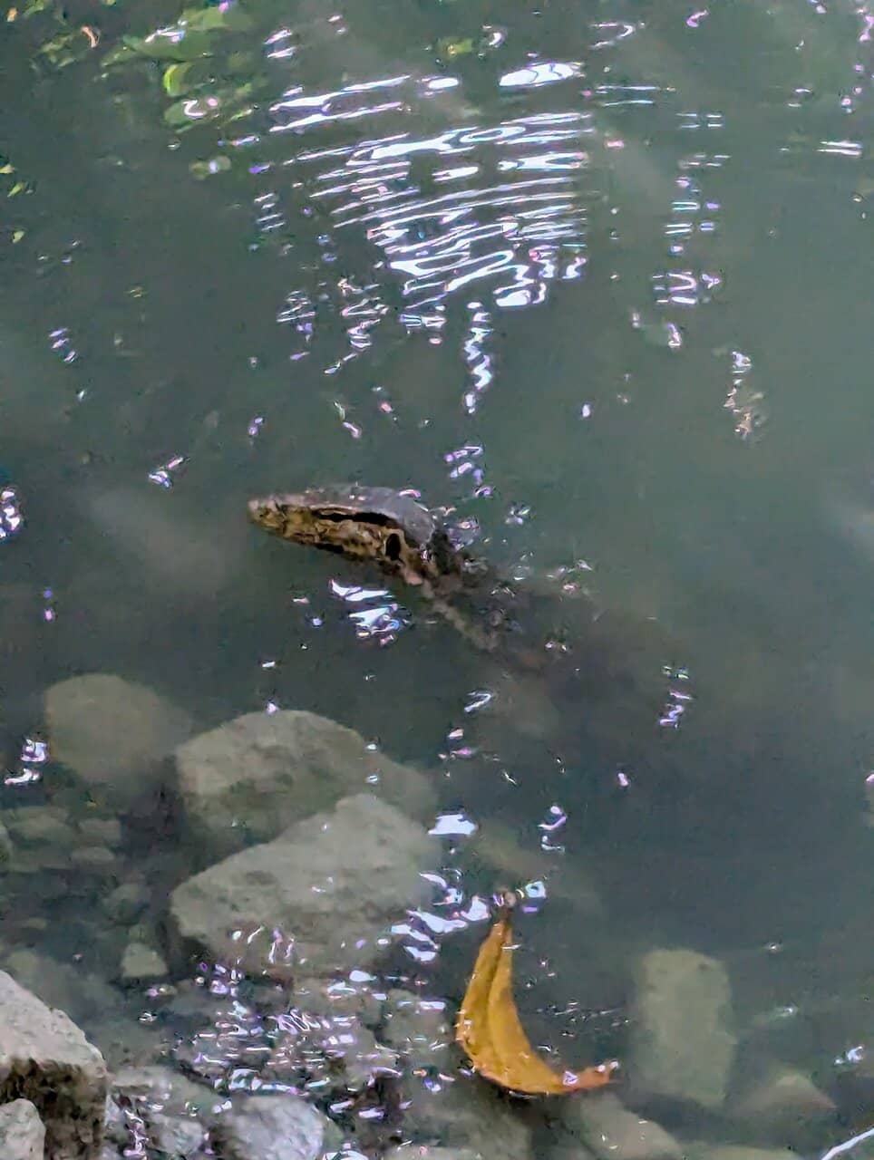 Sunset at Frandy Beach Bar