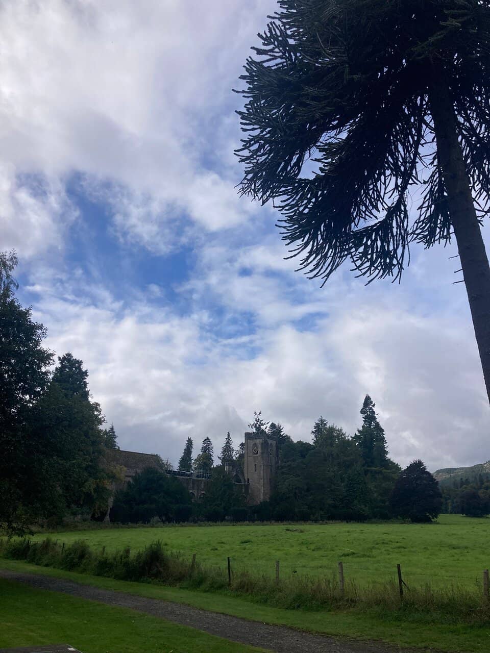 The Majestic Cathedral Ruins