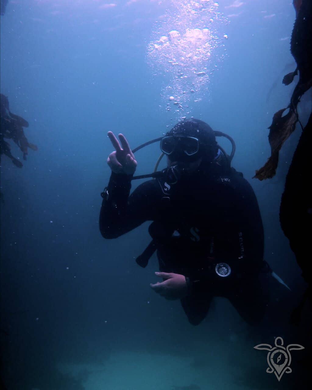 Vertical photo
