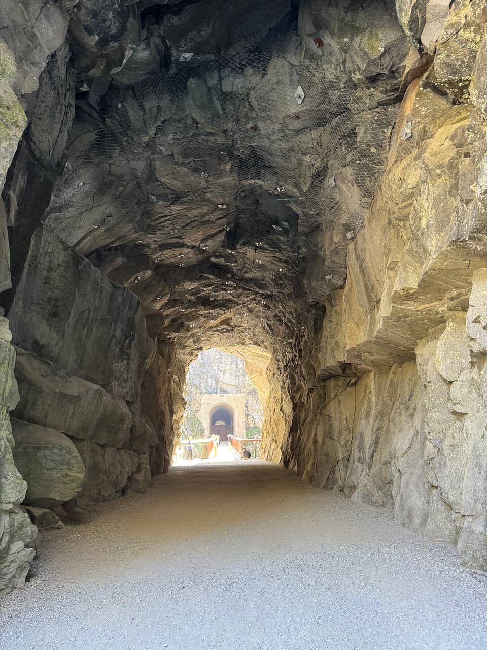 Vertical photo