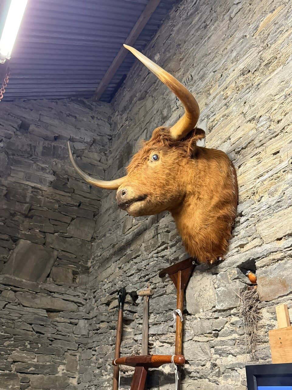 Interactive Displays