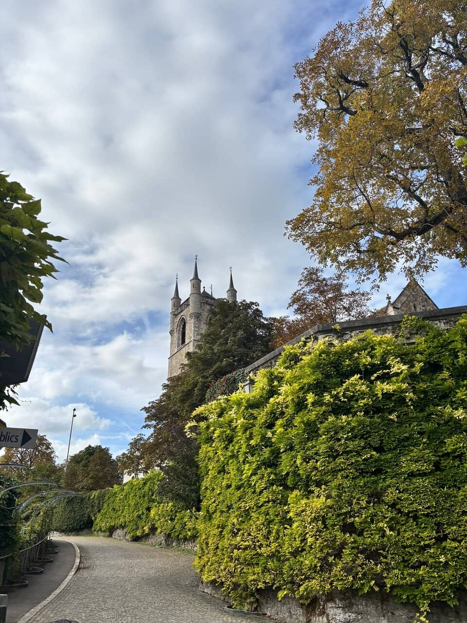 Vertical photo