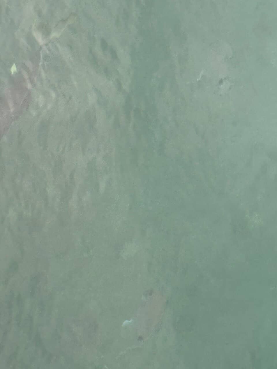 Sunset Celebration Art Show