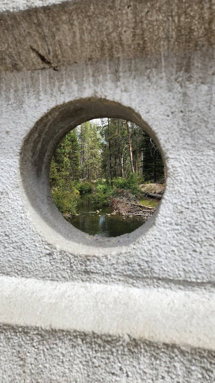 Vertical photo