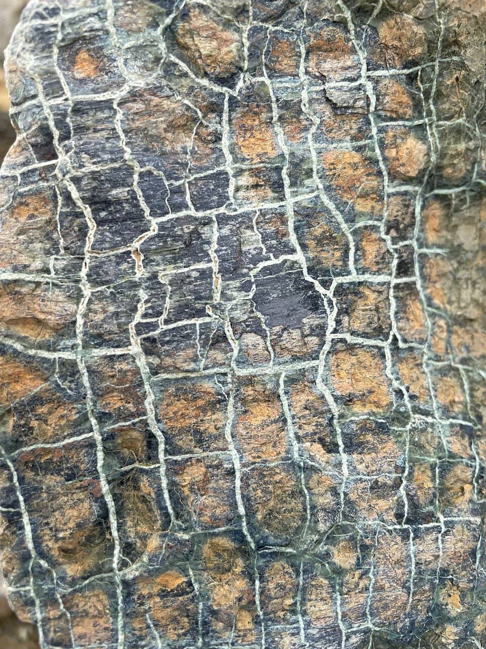 Vertical photo