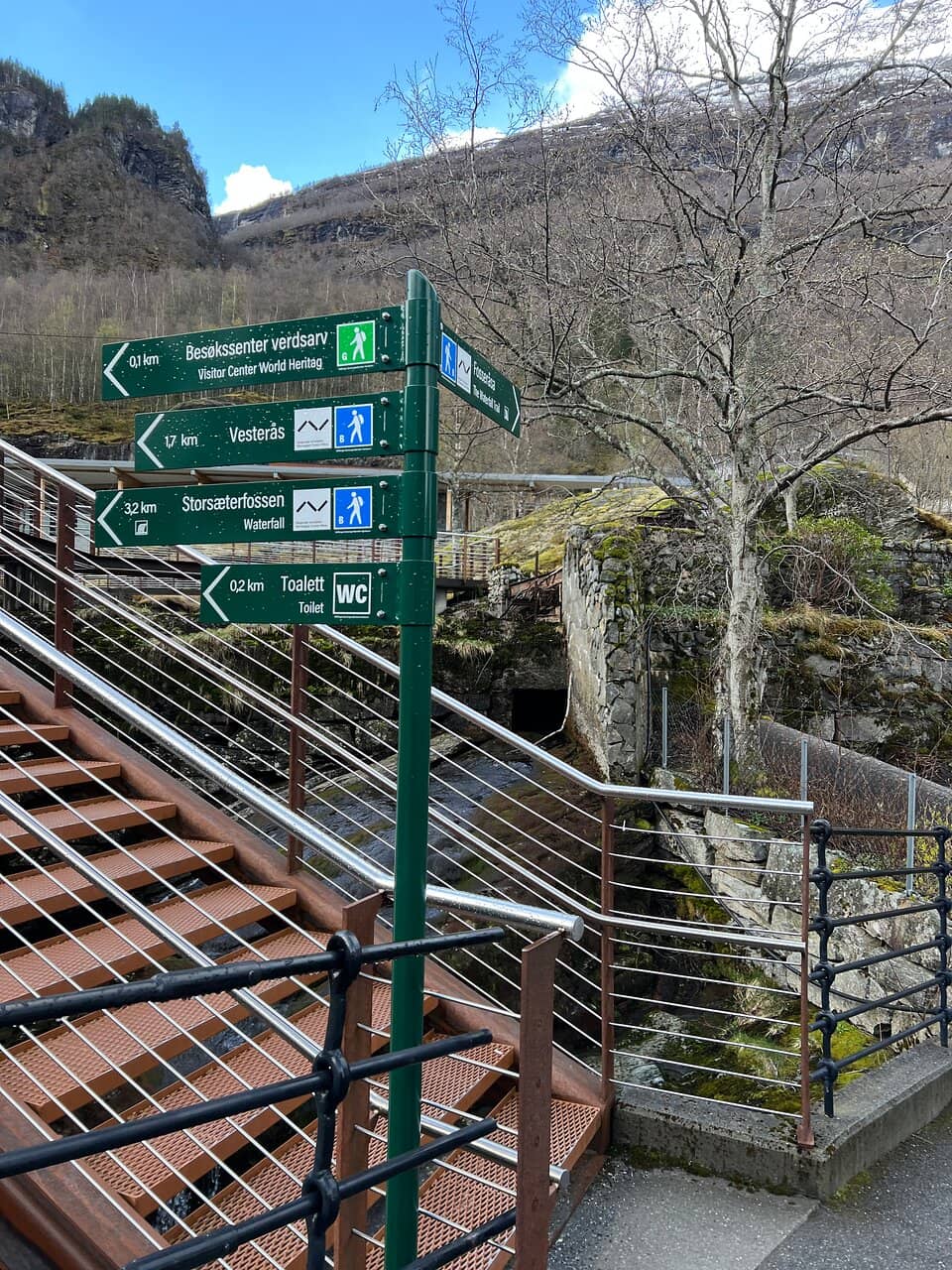 Vertical photo