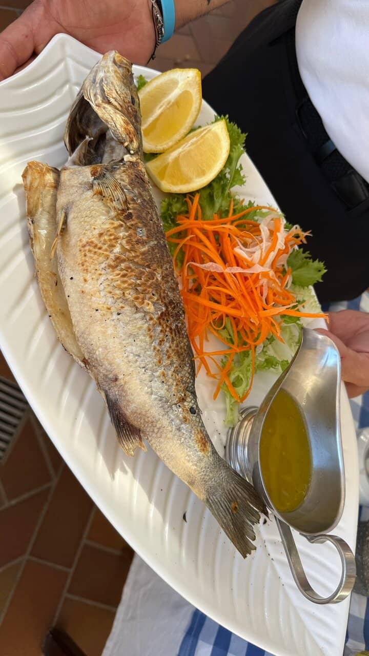 Panoramic Viewpoints