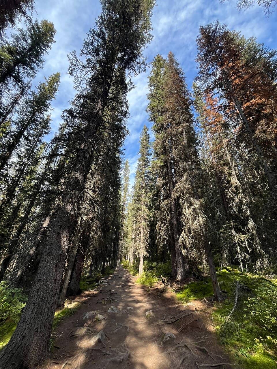 Boulder Field Scramble