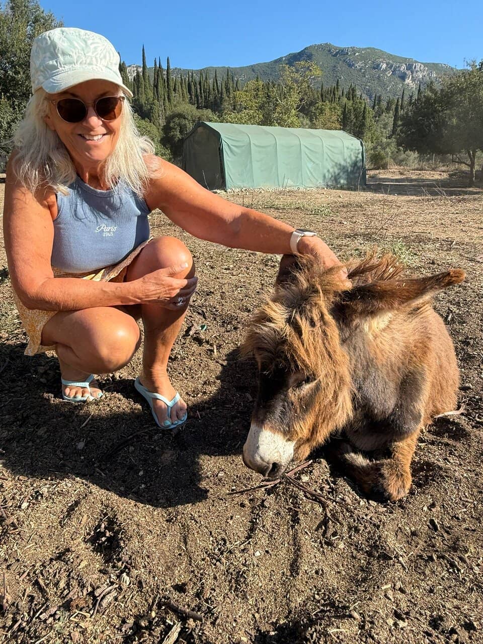 Passionate Volunteers