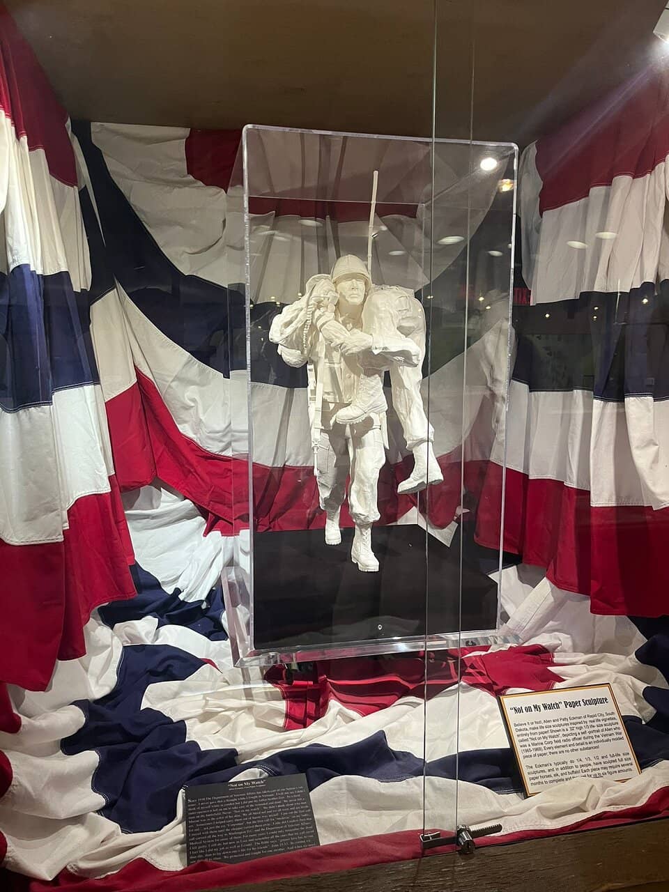 Oddities & Rare Collections