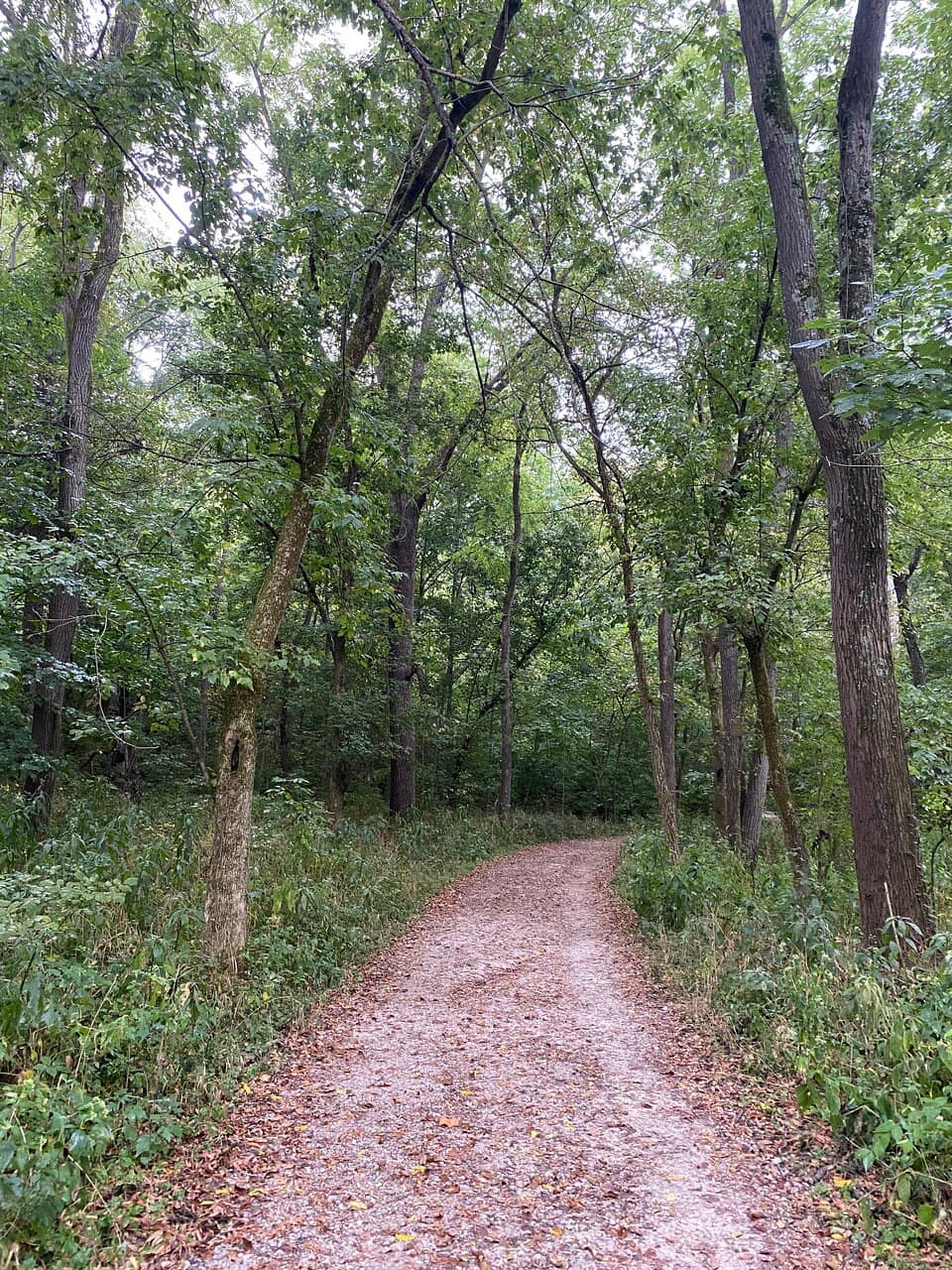 Dripping Rock Trail