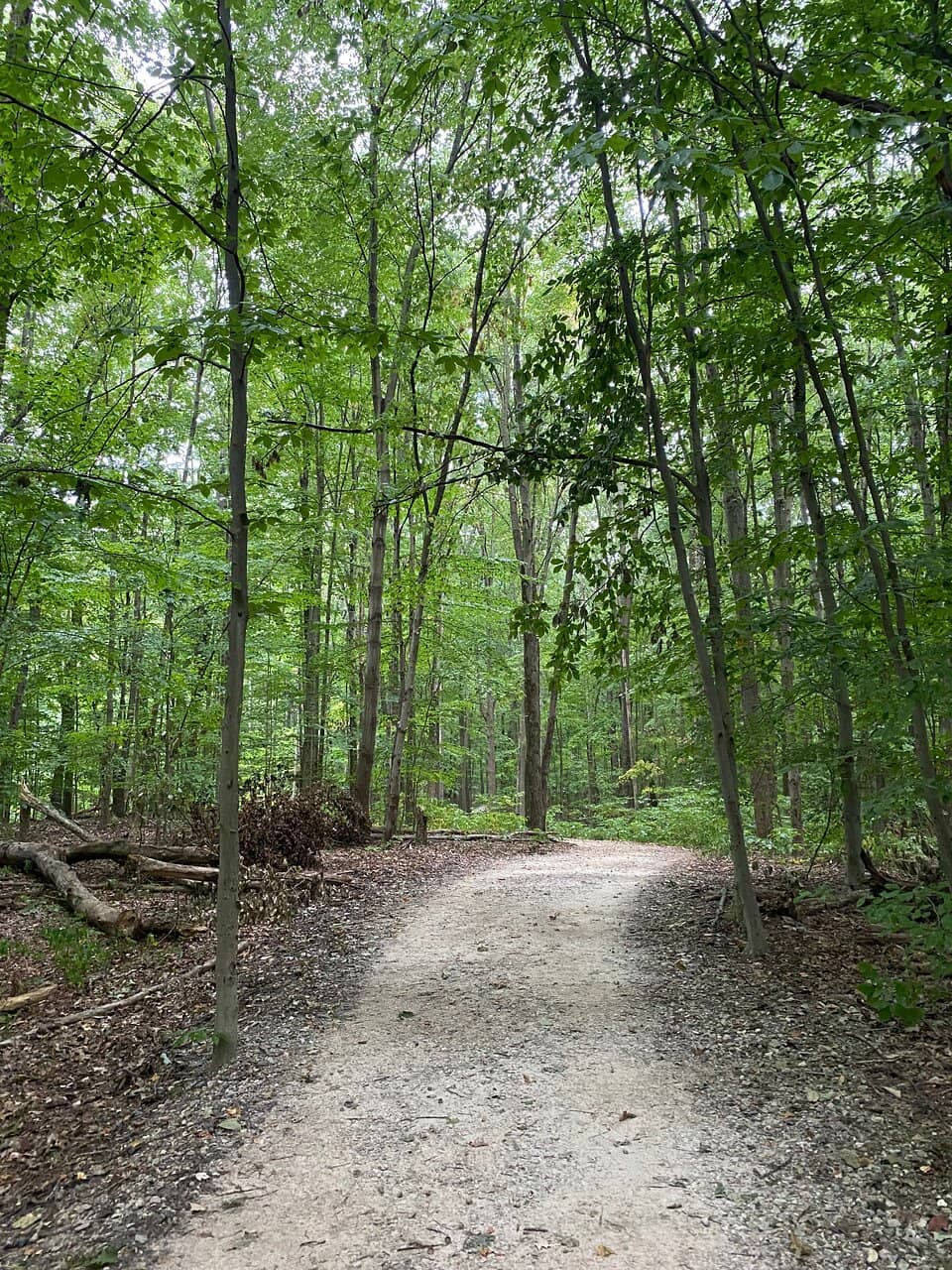 Natural Playground