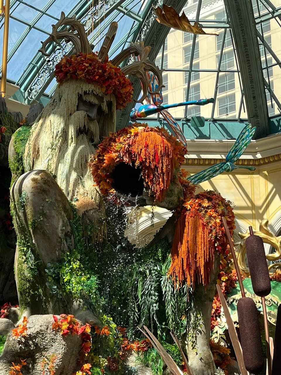 Ecuador's Diverse Flora