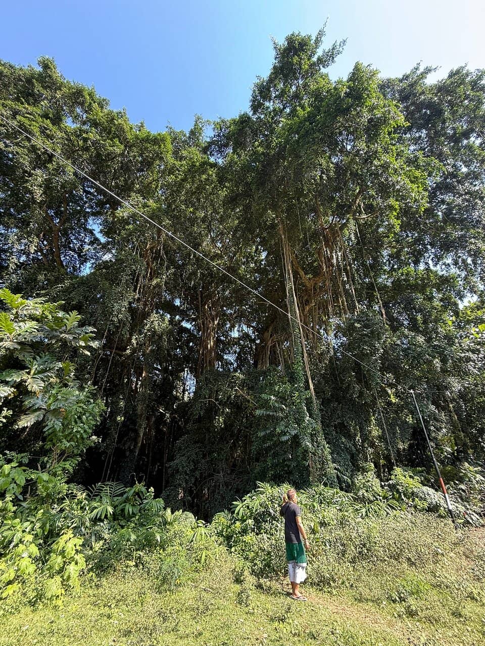 Vertical photo