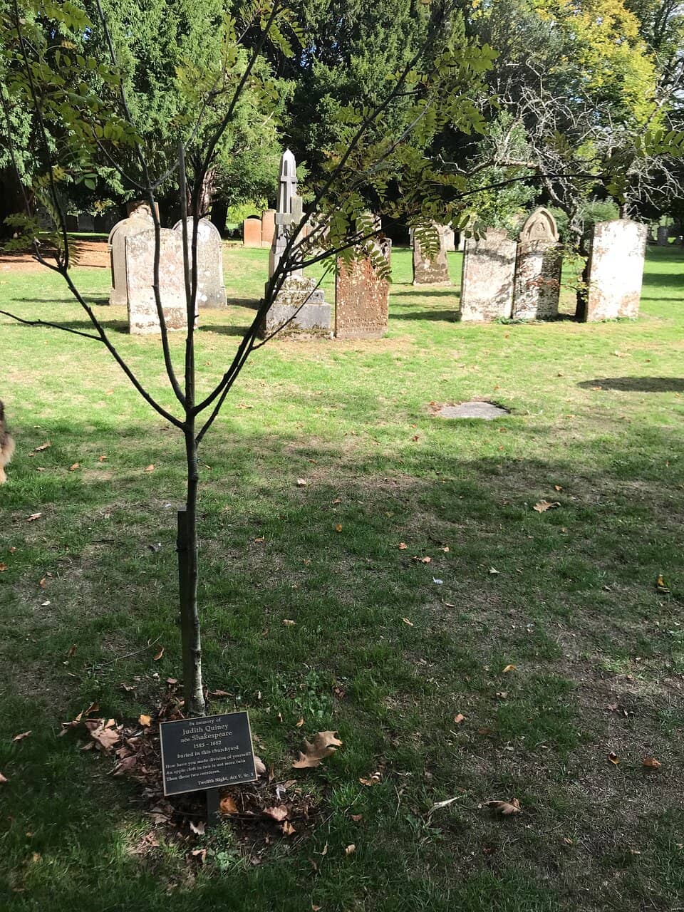 Soul-Stirring Organ Music