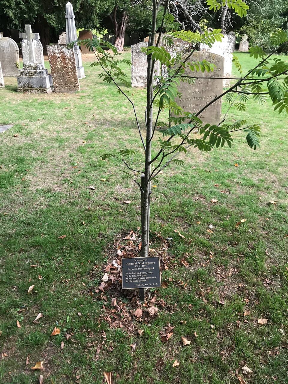 Historic Architecture