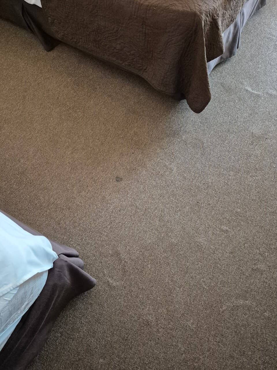 Beach Bars & Nightlife