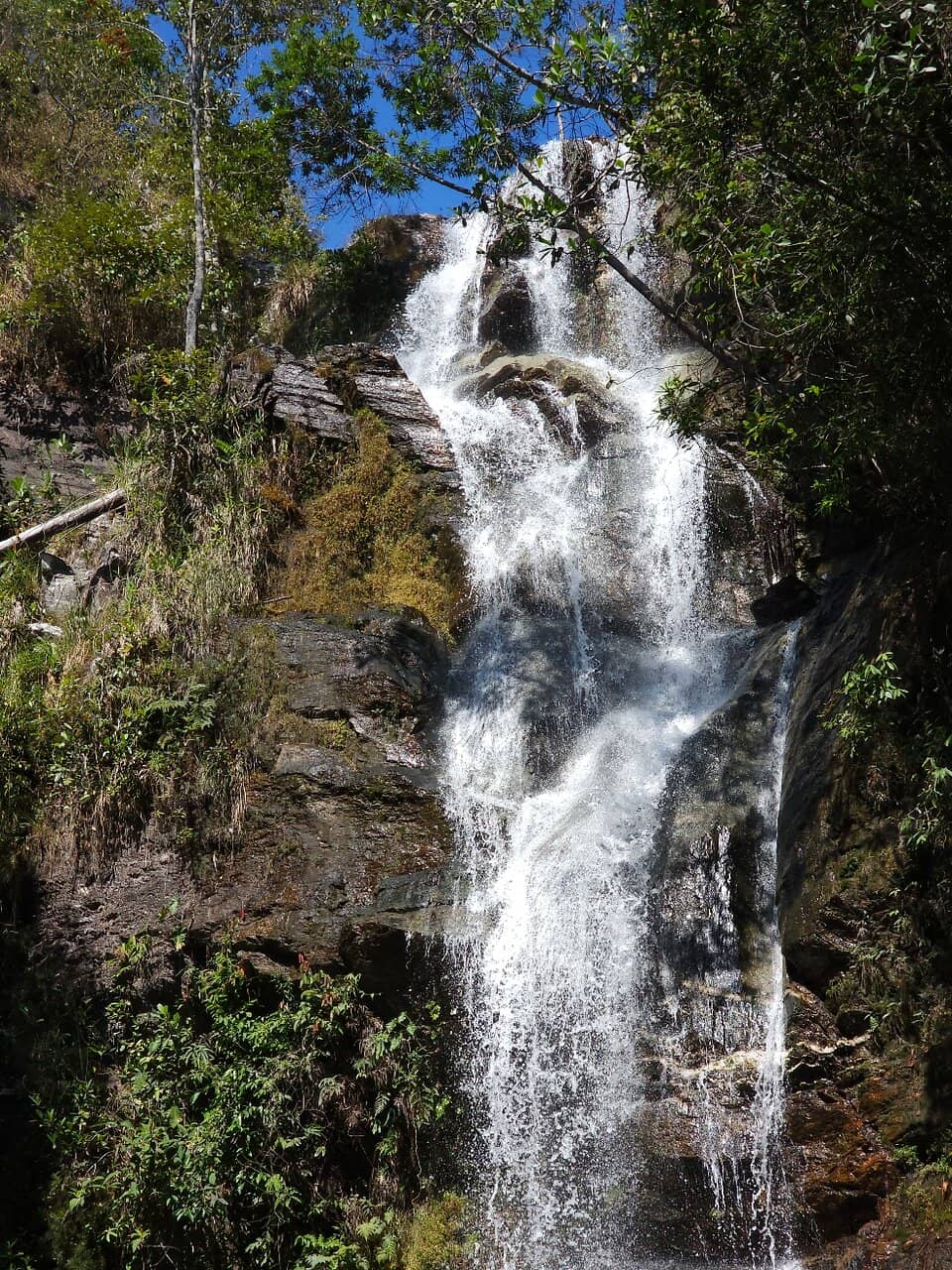 The 'Pau de Arara' Ride