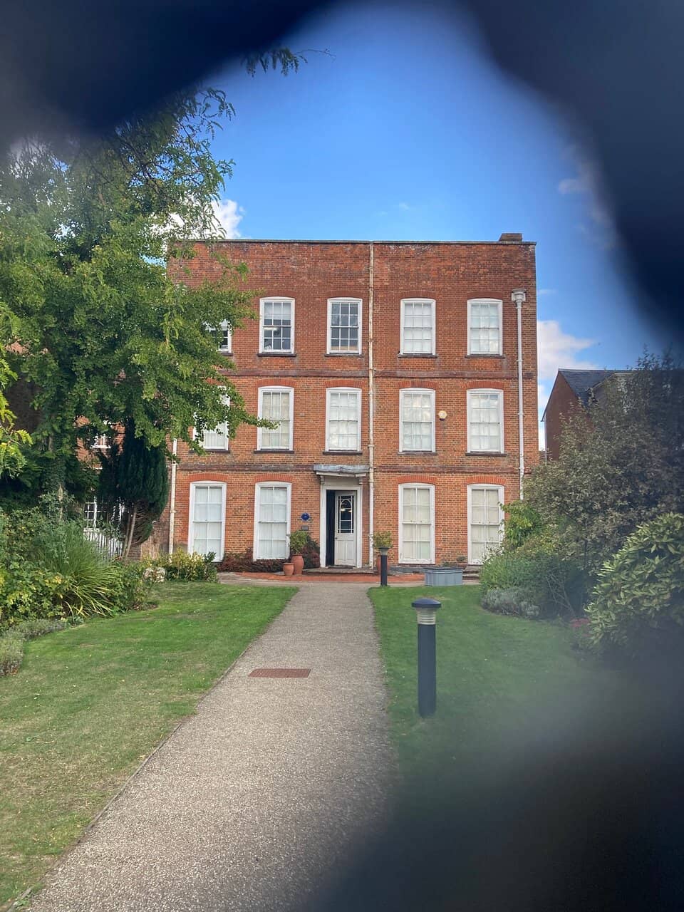 Mammoth Tusk Display