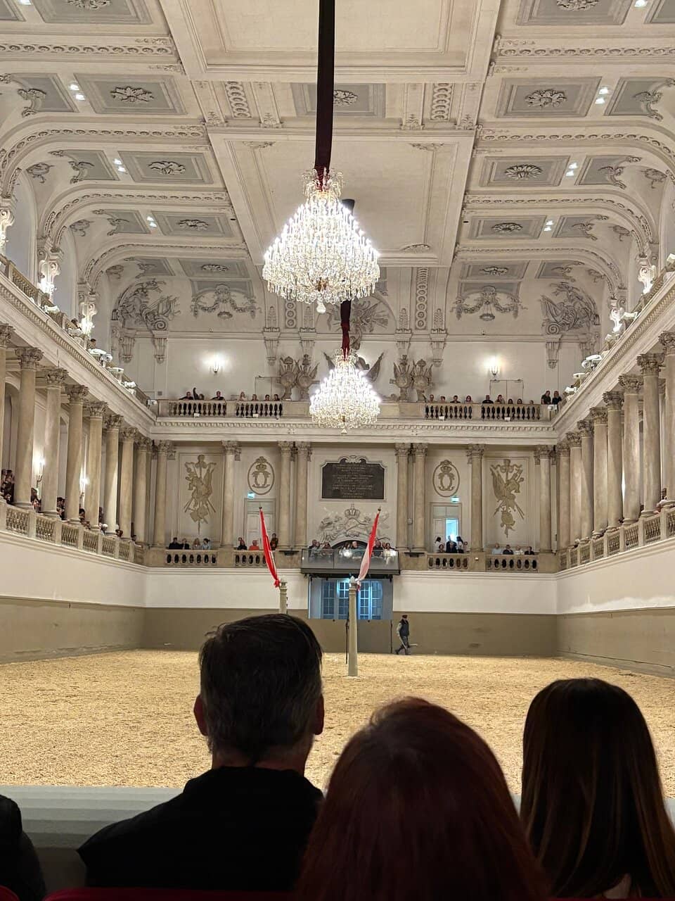 Lipizzaner Stallions