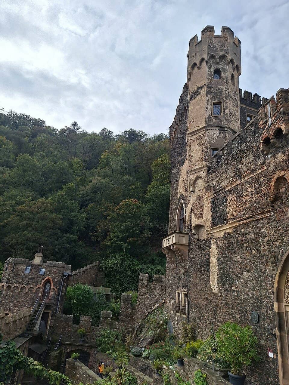 Vertical photo
