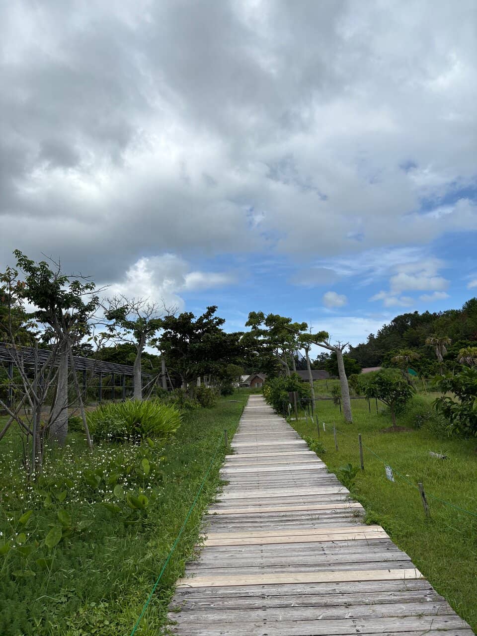 Petting and Feeding Areas