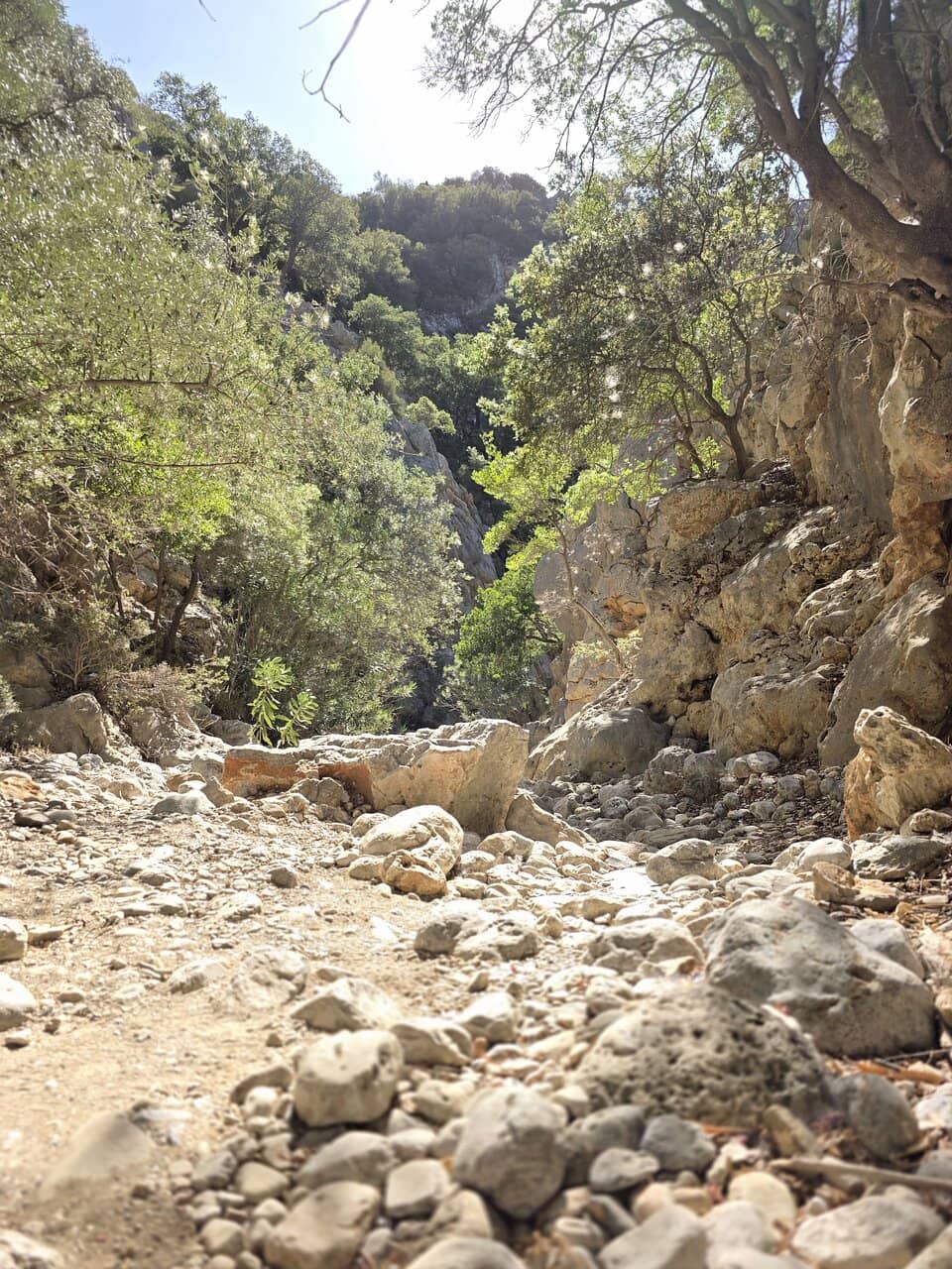 Ancient Minoan Path Loop