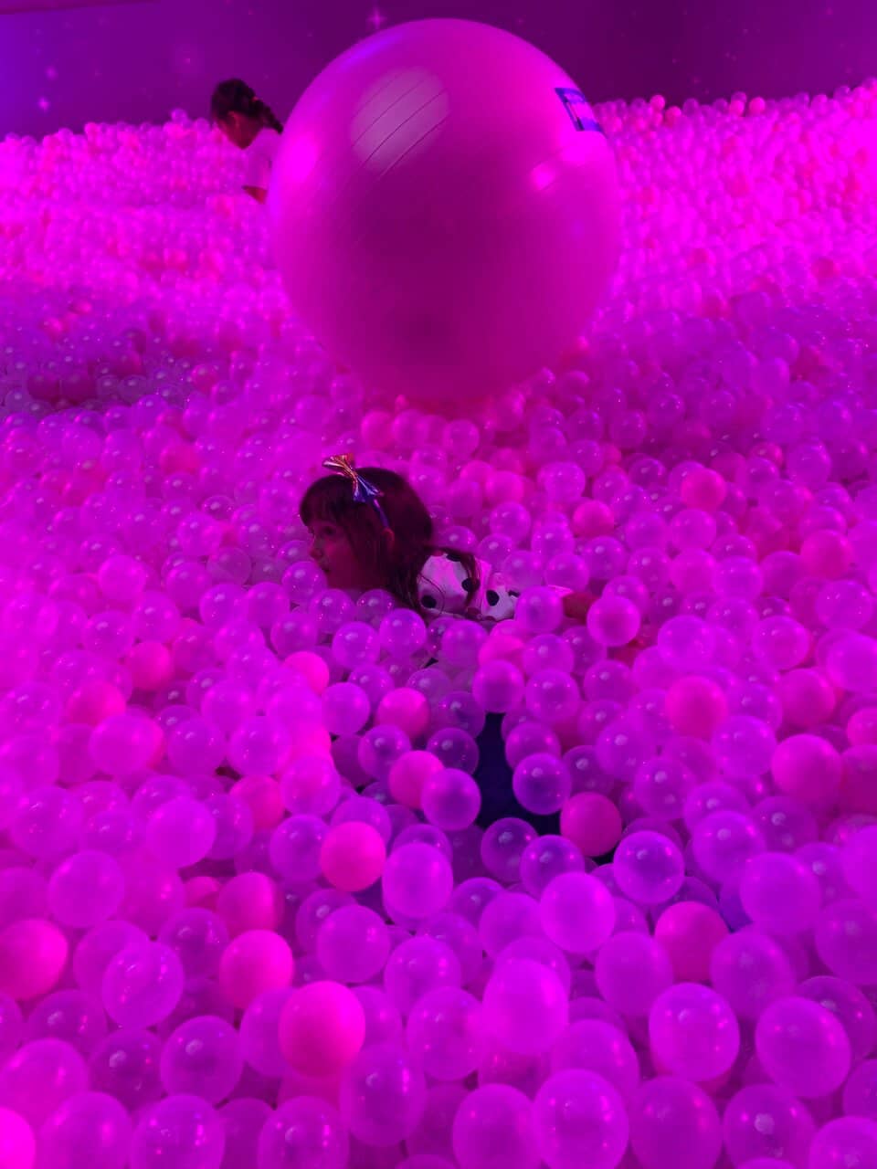 Photo Opportunities Galore