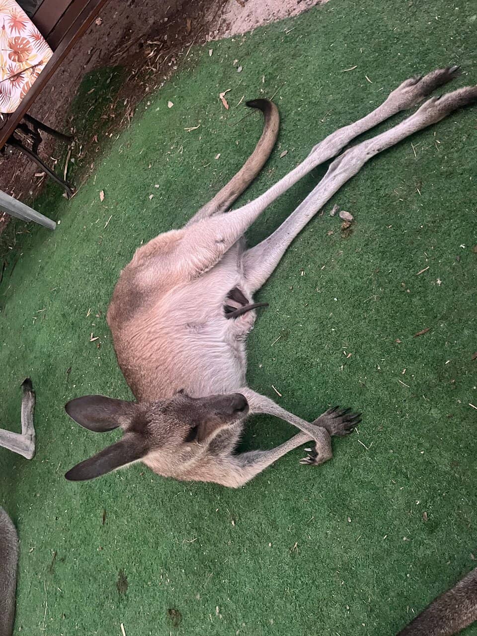 Gary's Passionate Narration